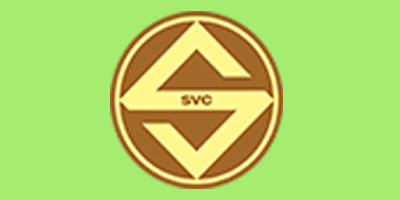 Song Viet Bricks