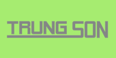 Trung Son Bricks